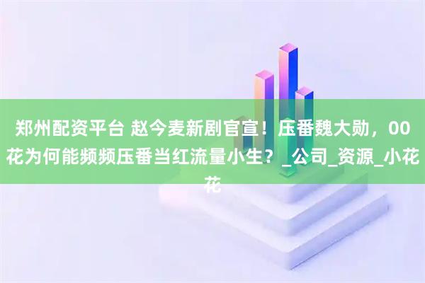 郑州配资平台 赵今麦新剧官宣！压番魏大勋，00花为何能频频压番当红流量小生？_公司_资源_小花